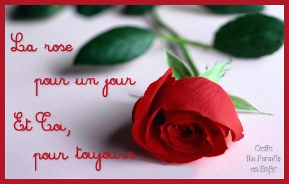 La rose